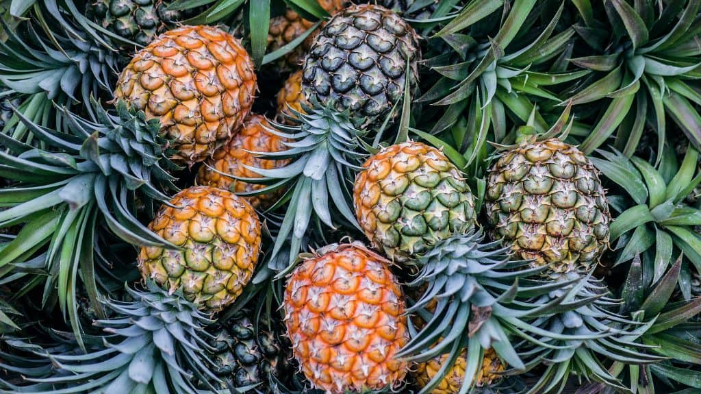 Hives treatment - avoid pineapple