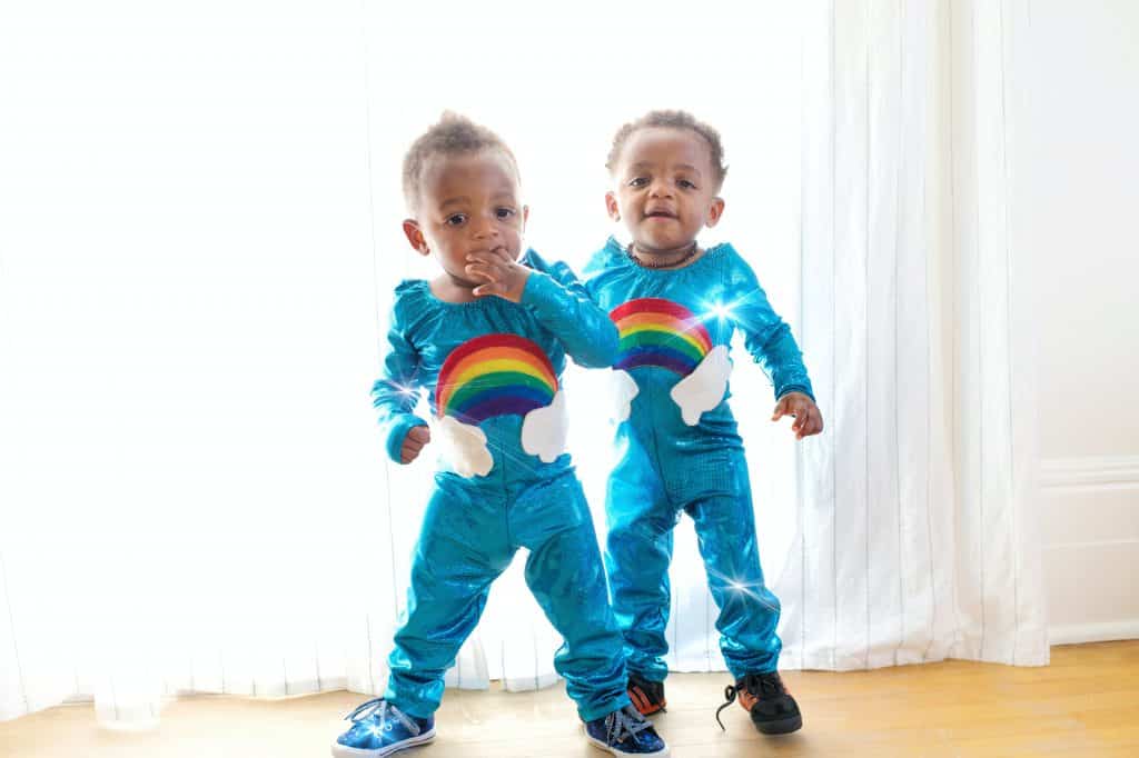 Vanishing Twin - twin boys